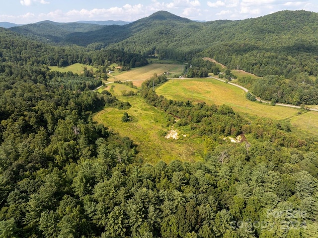 birds eye view of property featuring a mountain view