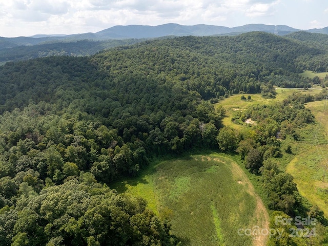 aerial view with a mountain view