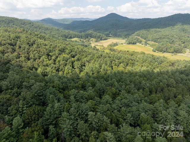 view of mountain feature