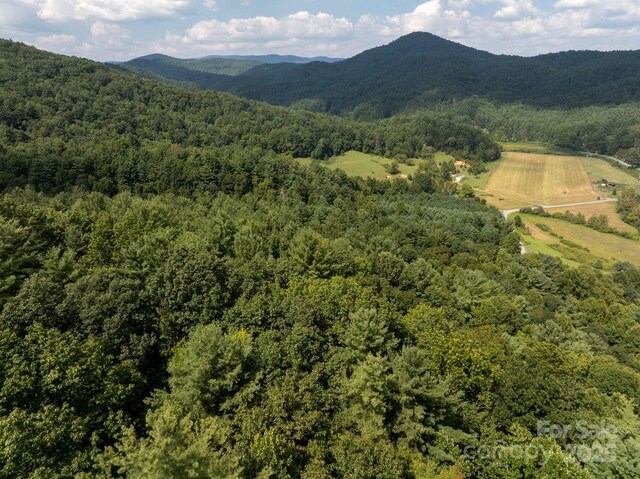 721 Kuenzel Eller Dr, Millers Creek, NC 28651 - view of mountain backdrop with a forest