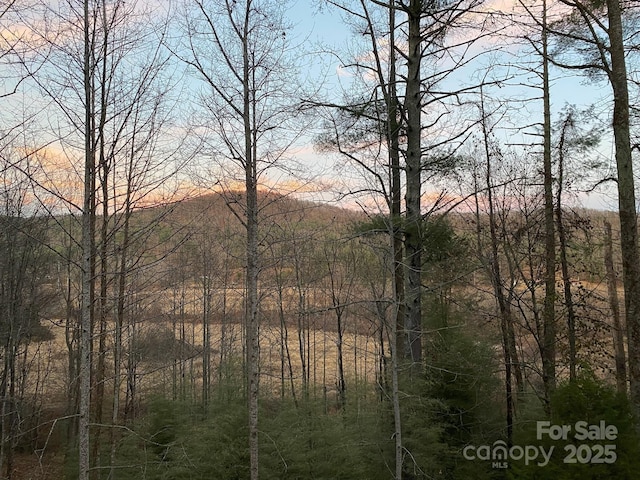 721 Kuenzel Eller Dr, Millers Creek, NC 28651 - view of tree filled area