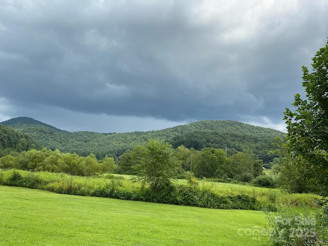 721 Kuenzel Eller Dr, Millers Creek, NC 28651 - view of mountain background with a forest