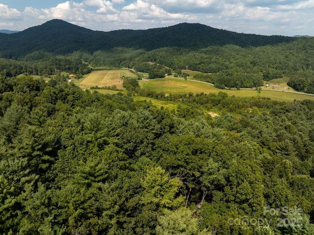 721 Kuenzel Eller Dr, Millers Creek, NC 28651 - mountain view with a heavily wooded area