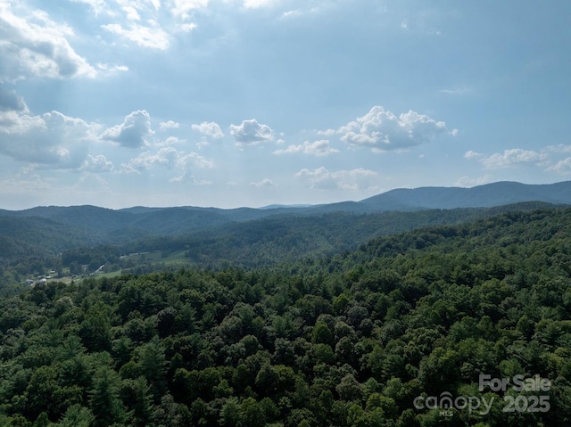 721 Kuenzel Eller Dr, Millers Creek, NC 28651 - mountain view with a heavily wooded area