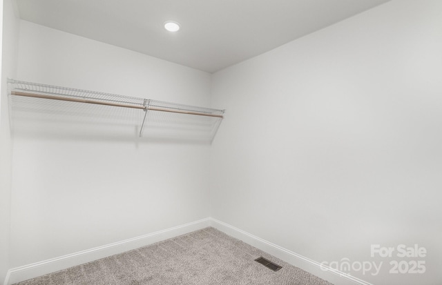 walk in closet featuring carpet flooring