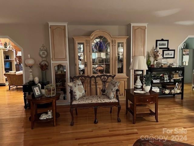 sitting room featuring hardwood / wood-style flooring