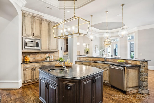 kitchen featuring sink, an island with sink, a tray ceiling, and dark hardwood / wood-style flooring