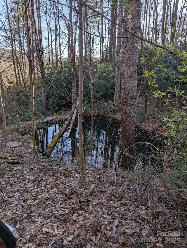 view of local wilderness with a water view