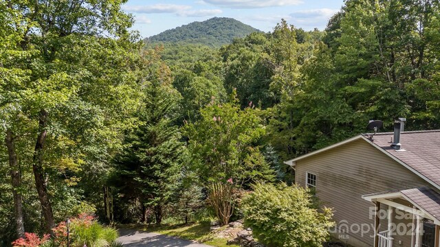 view of mountain feature