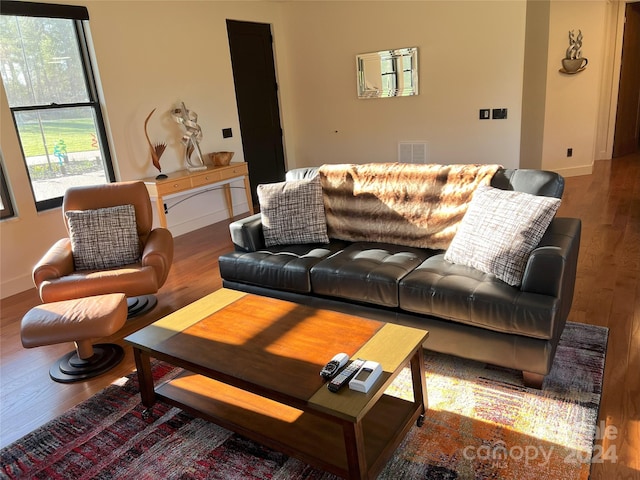 living room with hardwood / wood-style flooring