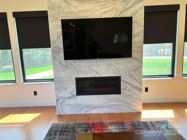 room details featuring a fireplace and wood-type flooring