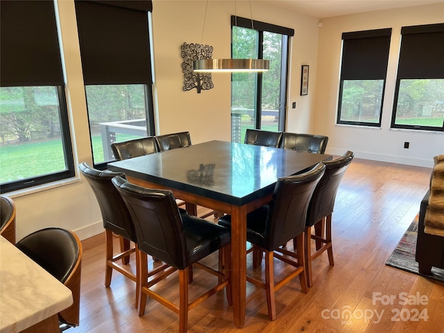 dining room featuring light hardwood / wood-style flooring