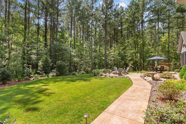 view of yard featuring a patio