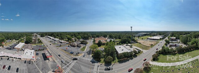 drone / aerial view