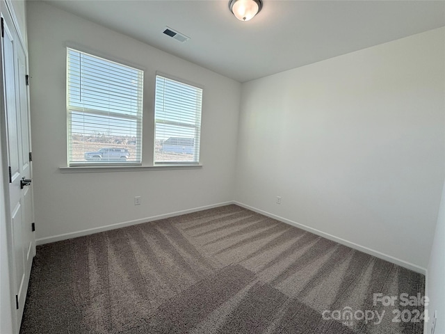 carpeted spare room with a wealth of natural light