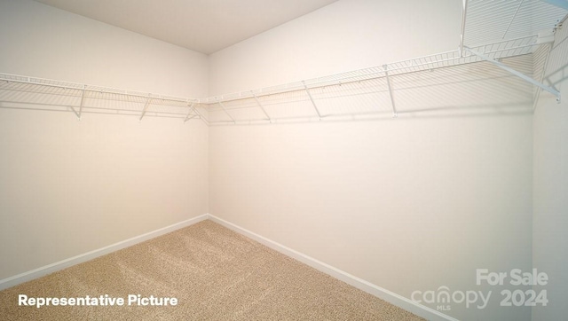 walk in closet with carpet floors