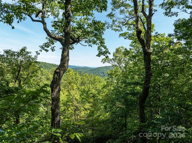 LOT25 Panther Mountain Rd Unit Cvn-Cvn-025, Zirconia NC, 28790 land for sale