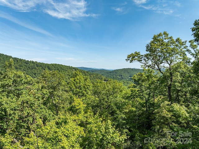 Listing photo 3 for LOT25 Panther Mountain Rd Unit Cvn-Cvn-025, Zirconia NC 28790