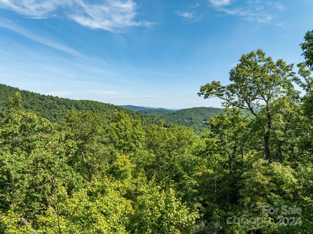 LOT25 Panther Mountain Rd Unit Cvn-Cvn-025, Zirconia, NC 28790 - photo 3