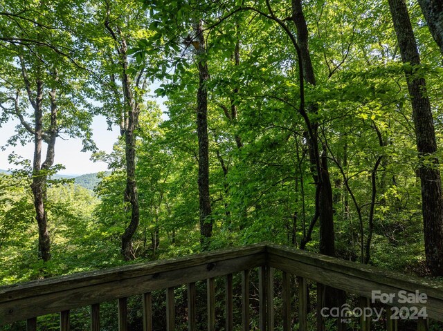 LOT25 Panther Mountain Rd Unit Cvn-Cvn-025, Zirconia, NC 28790 - photo 4