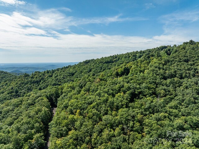 LOT25 Panther Mountain Rd Unit Cvn-Cvn-025, Zirconia, NC 28790 - photo 5