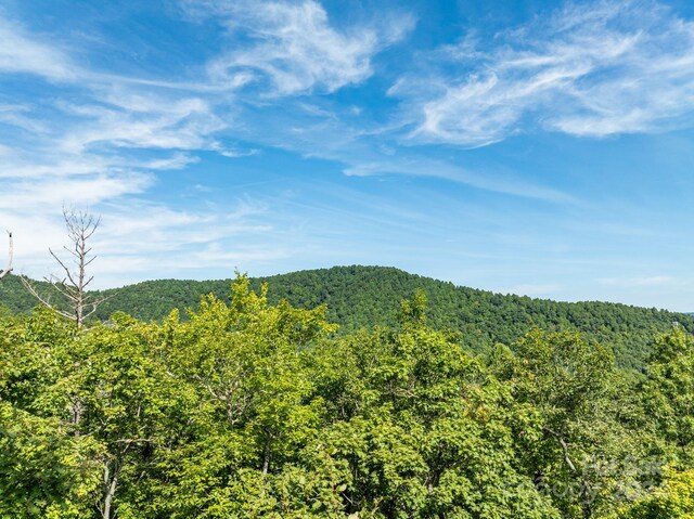 LOT25 Panther Mountain Rd Unit Cvn-Cvn-025, Zirconia, NC 28790 - photo 6