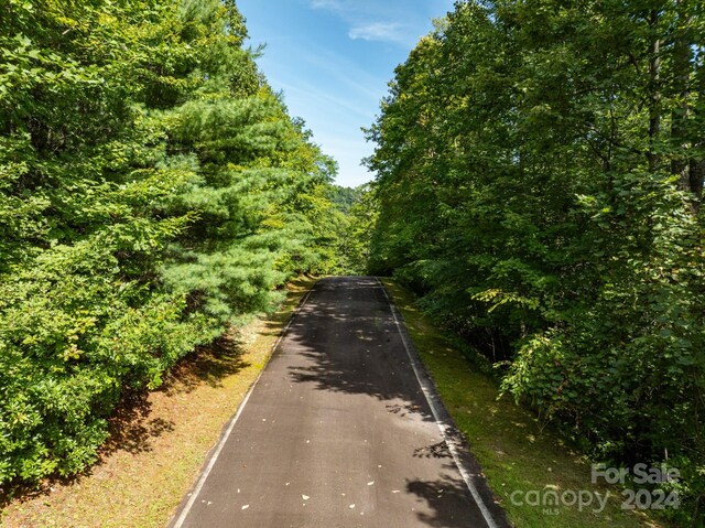 LOT25 Panther Mountain Rd Unit Cvn-Cvn-025, Zirconia, NC 28790 - photo 7