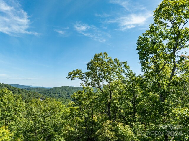 LOT25 Panther Mountain Rd Unit Cvn-Cvn-025, Zirconia, NC 28790 - photo 8