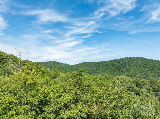 LOT25 Panther Mountain Rd Unit Cvn-Cvn-025, Zirconia, NC 28790 - photo 9