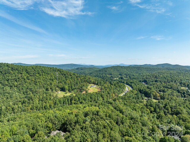 LOT25 Panther Mountain Rd Unit Cvn-Cvn-025, Zirconia, NC 28790 - photo 10
