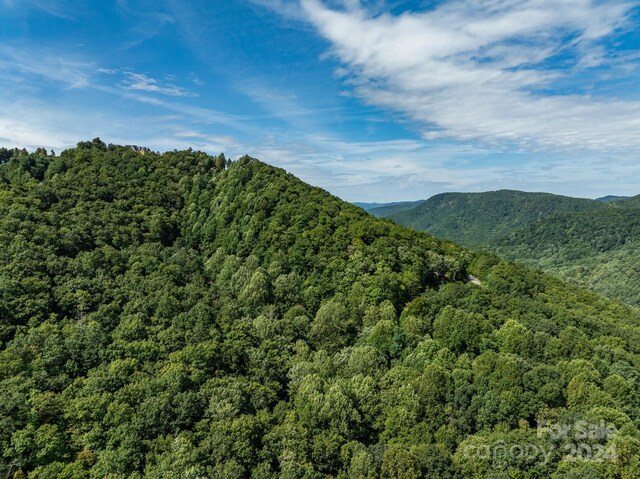 LOT25 Panther Mountain Rd Unit Cvn-Cvn-025, Zirconia, NC 28790 - photo 11