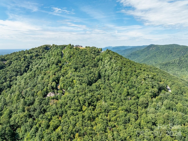 LOT25 Panther Mountain Rd Unit Cvn-Cvn-025, Zirconia, NC 28790 - photo 12