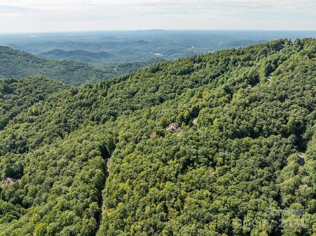 LOT25 Panther Mountain Rd Unit Cvn-Cvn-025, Zirconia, NC 28790 - photo 14