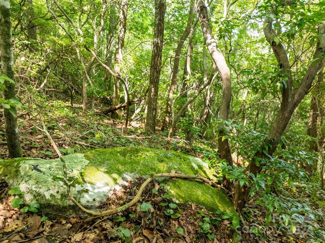 LOT25 Panther Mountain Rd Unit Cvn-Cvn-025, Zirconia, NC 28790 - photo 15
