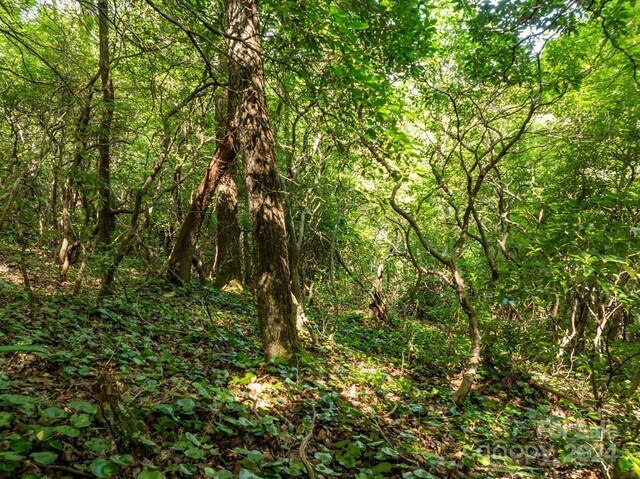 LOT25 Panther Mountain Rd Unit Cvn-Cvn-025, Zirconia, NC 28790 - photo 16
