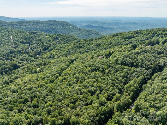 LOT25 Panther Mountain Rd Unit Cvn-Cvn-025, Zirconia, NC 28790 - photo 17