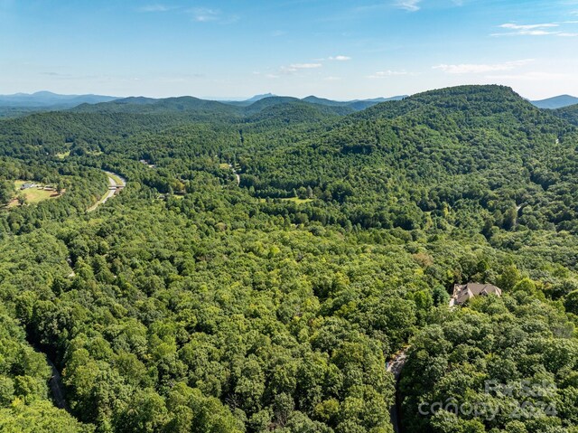 LOT25 Panther Mountain Rd Unit Cvn-Cvn-025, Zirconia, NC 28790 - photo 18