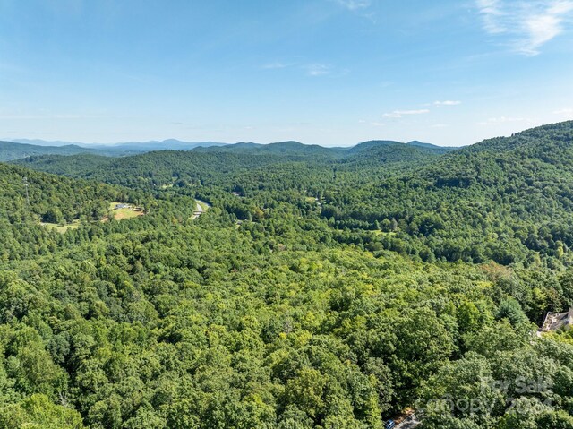 LOT25 Panther Mountain Rd Unit Cvn-Cvn-025, Zirconia, NC 28790 - photo 19