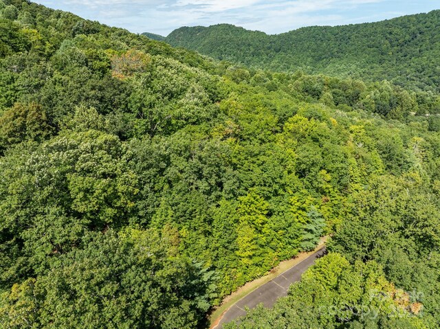 LOT25 Panther Mountain Rd Unit Cvn-Cvn-025, Zirconia, NC 28790 - photo 20