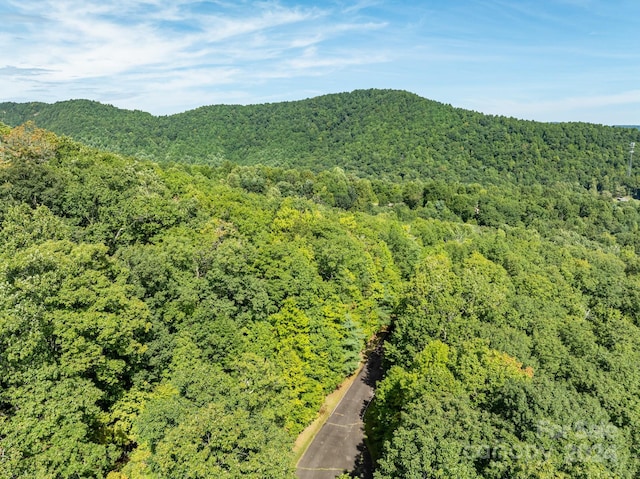 LOT25 Panther Mountain Rd Unit Cvn-Cvn-025, Zirconia, NC 28790 - photo 21