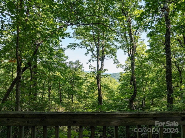 LOT25 Panther Mountain Rd Unit Cvn-Cvn-025, Zirconia, NC 28790 - photo 22