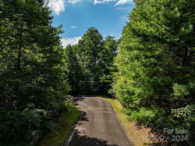 LOT25 Panther Mountain Rd Unit Cvn-Cvn-025, Zirconia, NC 28790 - photo 23