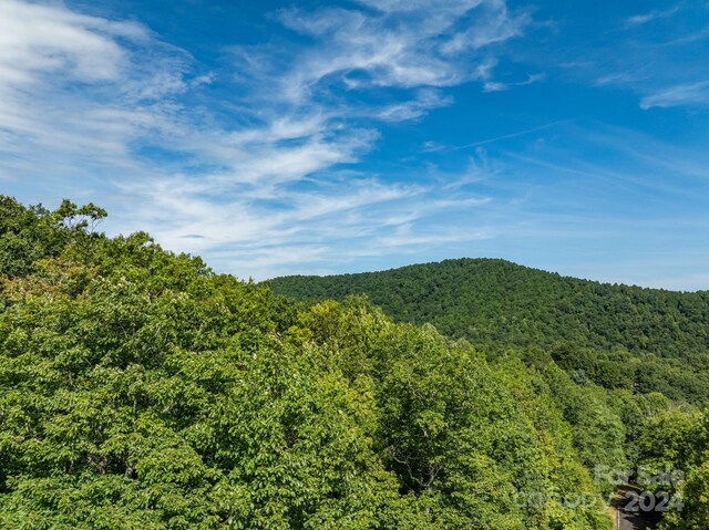 LOT25 Panther Mountain Rd Unit Cvn-Cvn-025, Zirconia, NC 28790 - photo 24