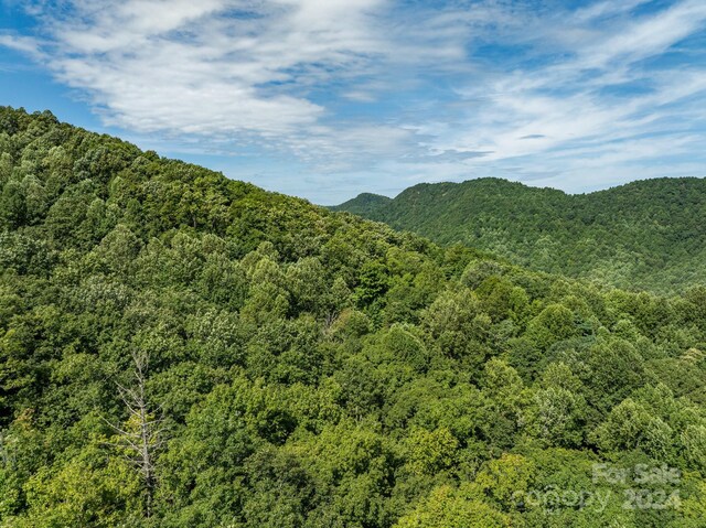 LOT25 Panther Mountain Rd Unit Cvn-Cvn-025, Zirconia, NC 28790 - photo 25