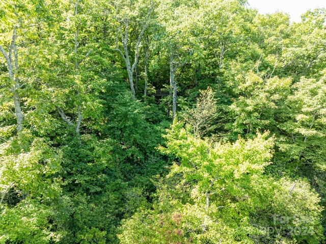 LOT25 Panther Mountain Rd Unit Cvn-Cvn-025, Zirconia, NC 28790 - photo 26