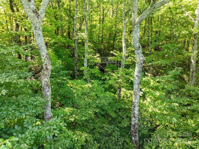 LOT25 Panther Mountain Rd Unit Cvn-Cvn-025, Zirconia, NC 28790 - photo 27