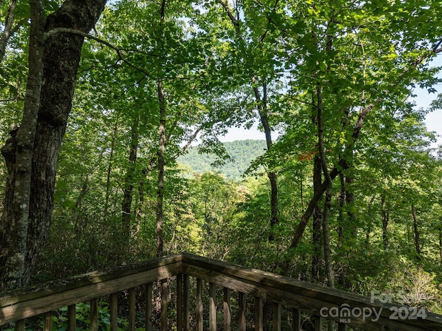 LOT25 Panther Mountain Rd Unit Cvn-Cvn-025, Zirconia, NC 28790 - photo 28