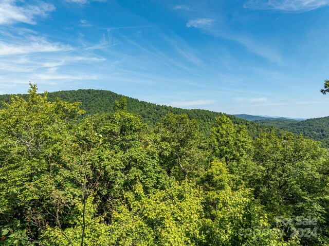 LOT25 Panther Mountain Rd Unit Cvn-Cvn-025, Zirconia, NC 28790 - photo 29