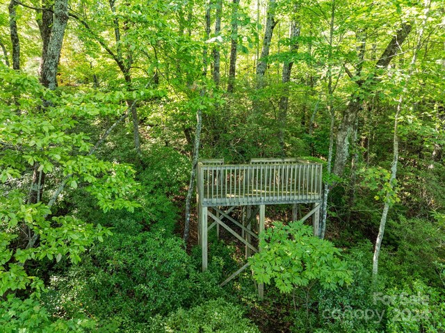 LOT25 Panther Mountain Rd Unit Cvn-Cvn-025, Zirconia, NC 28790 - photo 30