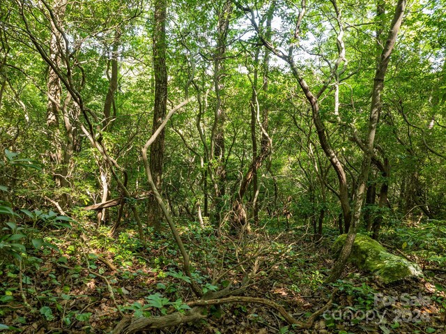 LOT25 Panther Mountain Rd Unit Cvn-Cvn-025, Zirconia, NC 28790 - photo 31